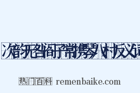 次韵无咎阎子常携琴八村反义词是什么意思的图片